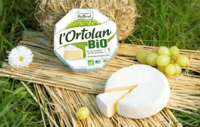 Fromagerie Milleret: soft cheese packaging