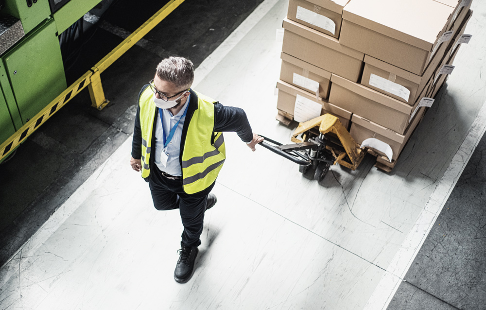 Pet care eCommerce supply chain 